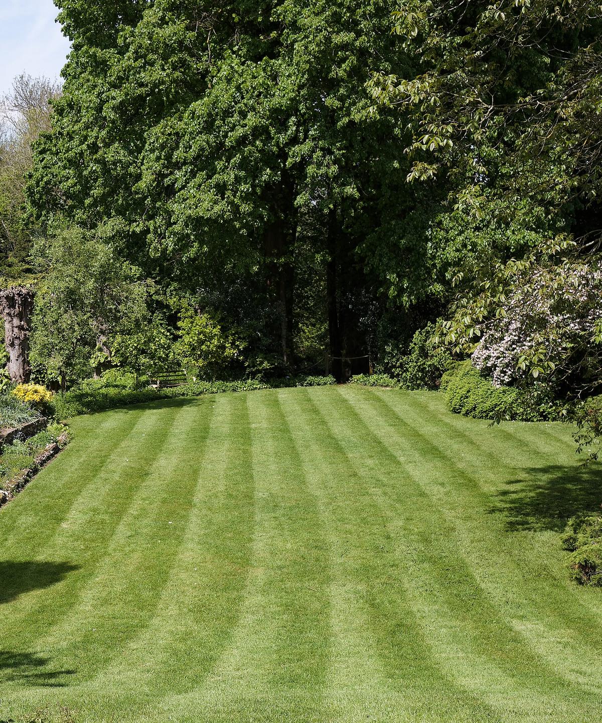 A freshly striped lawn framed by planting beds and mature trees